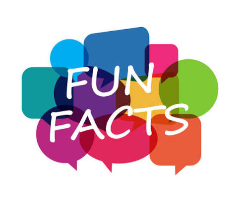 fun facts lovelolablog